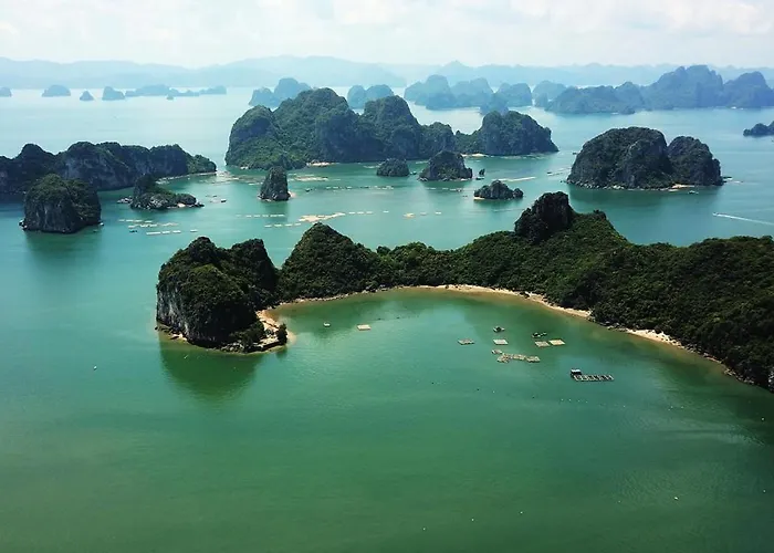 Bao 3* Hạ Long